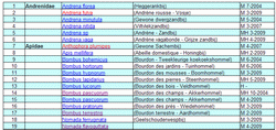 tableau - tabel