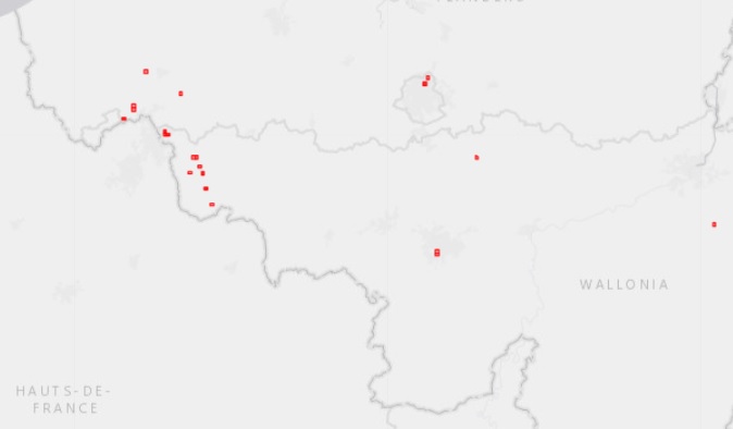 waarnemingen C. elegans sinds 2018 op waarnemingen.be